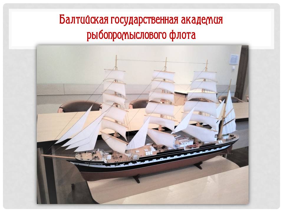 Балтийская государственная академия рыбопромыслового флота 6