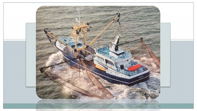 Пересмотр стандартов маневрирования ИМО для крупных рыболовных судов