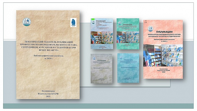 БИБЛИОГРАФИЧЕСКИЙ УКАЗАТЕЛЬ ПРОФЕССИОНАЛЬНЫХ ИССЛЕДОВАНИЙ КАК ИНСТРУМЕНТ НАУЧНОГО НАСТАВНИЧЕСТВА И ОБУЧЕНИЯ